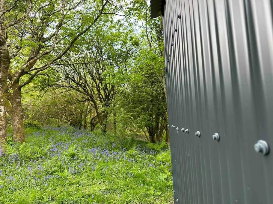 Cornwall Woodland Shepherd'S Hut - Dennis Hut Bodmin Zewnętrze zdjęcie