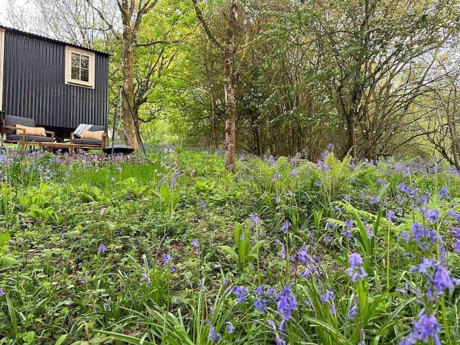 Cornwall Woodland Shepherd'S Hut - Dennis Hut Bodmin Zewnętrze zdjęcie