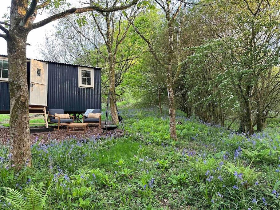 Cornwall Woodland Shepherd'S Hut - Dennis Hut Bodmin Zewnętrze zdjęcie