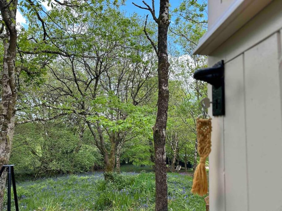 Cornwall Woodland Shepherd'S Hut - Dennis Hut Bodmin Zewnętrze zdjęcie